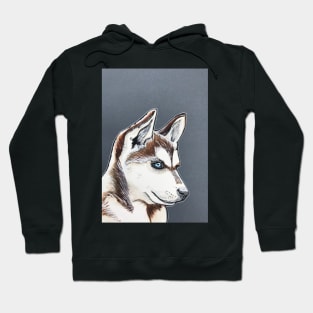 Husky Hoodie